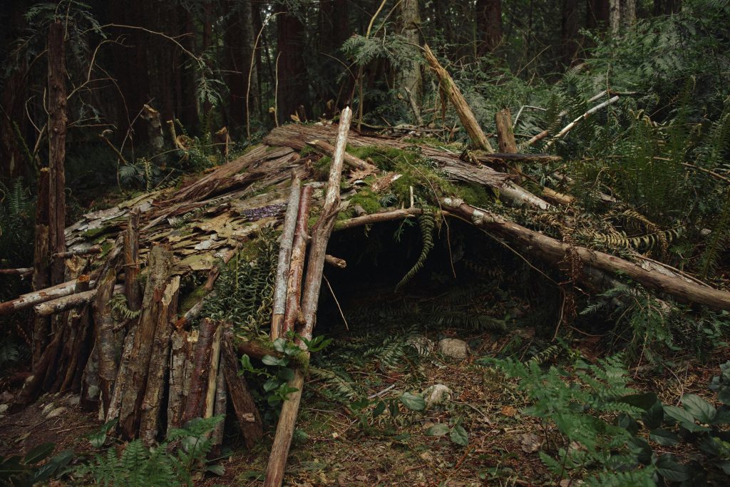 Logs are placed to construct a shelter